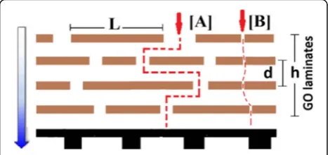 Fig. 3 Predicted transport model through GO membranes [A] pathdenotes the pathway through external nanopores and interlayerchannel