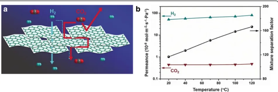 Fig. 4 aplanes represent the nanosheets regardless of their amphiprotic natures. The blue line indicates the pathway of H A cartoon illustrating the gas separation through porous Zn2(Bim)3 nanosheets