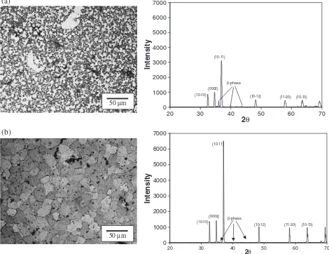 Fig. 1Optical micrographs showing the microstructure of the AZ91 (a) as-cast and (b) solution treated at 425�C for 1 h