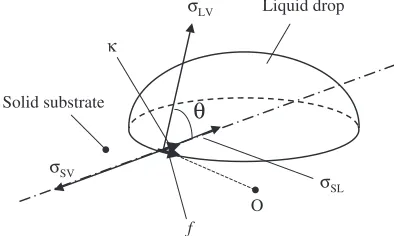 Fig. 1The equilibrium contact angle between a sessile drop and a solidsubstrate. �LV, �SV, �SL, � and � denote the surface tension of liquid, thesurface tension of solid, the interfacial tension and the contact anglebetween liquid and solid, and the line t
