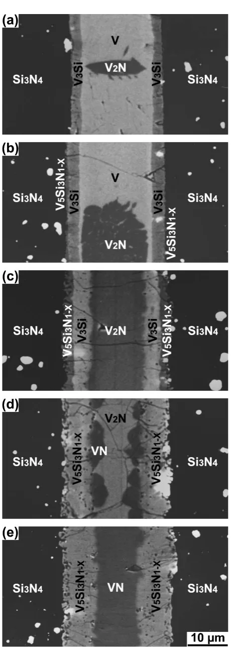 Fig. 4Five representative stages of the interfacial structure bonded at1673 K. The bonding time for each joint is (a) 0.9 ks, (b) 1.8 ks, (c) 3.6 ks,(d) 14.4 ks and (e) 32.4 ks, respectively.