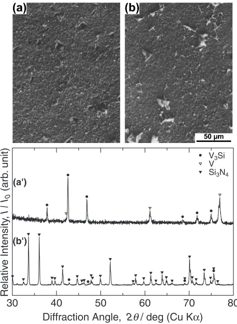 Figure 11 shows a pair of SEM micrographs and