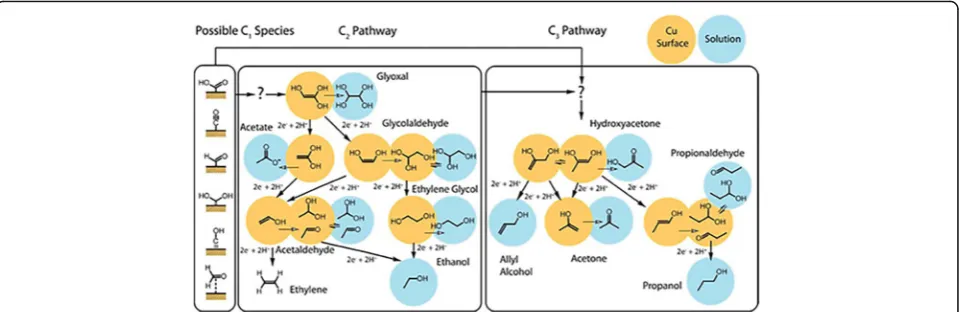 Fig. 10 Proposed reaction pathways of electrochemical CO2RR on Cu electrode in CO2-saturated 0.1 M KHCO3(aq)