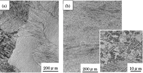 Fig. 2Scanning electron image of ultrahigh-purity Ti–45Al alloy observedafter isothermal hot forging.