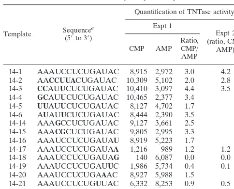 TABLE 2. Nucleotide(s) added by the TNTase activity ofH�21 are affected by template sequence