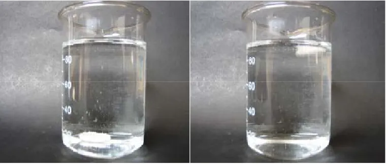 Fig. 12: Floating behavior of Ritonavir Floating Tablet (F7) 