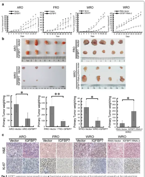 Fig. 3 IGFBP7 suppresses tumor growth in vivo. a Quantitative analysis of tumor volumes of the indicated cell xenografts at the indicated time points
