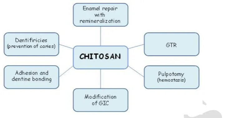 Figure 3. Uses of Chitosan in dentistry. GIC: glass ionomer cement; GTR: guided tissue regeneration.