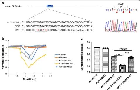 Fig. 4 Functional analysis of the restored SLC26A3 function in reverted cells. experiments