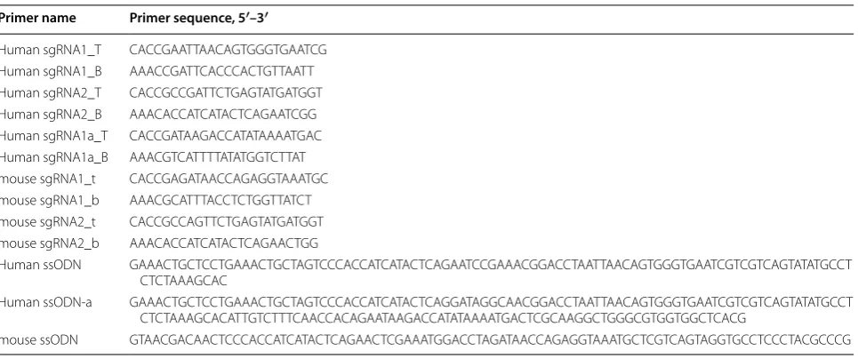 Table 1 Primer sequence for sgRNA cloning