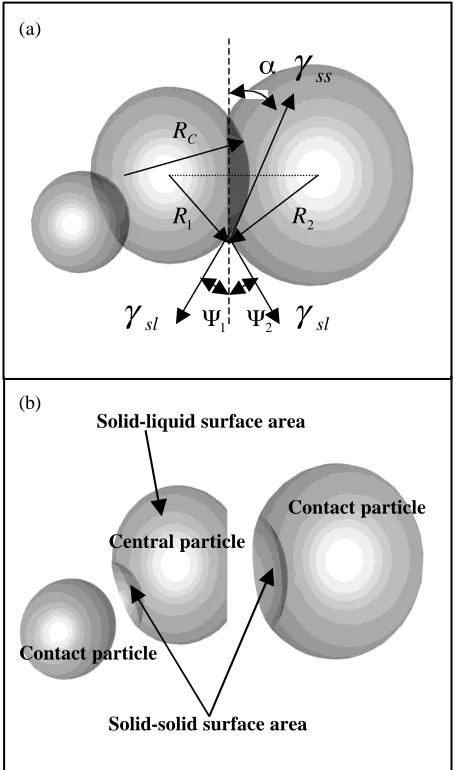 Fig. 4Drawing of three spherical solid particles in contact during liquidphase sintering