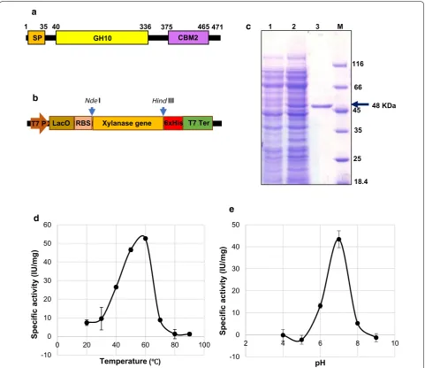 Fig. 7 Annotation, expression and characterization of xylanase from the enriched consortium derived from rice stem borer gut