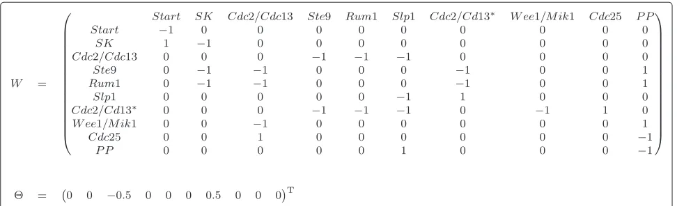 Figure 9 Parameters for the fission yeast cell-cycle threshold Boolean network. W represents the weight matrix and � the threshold vector.