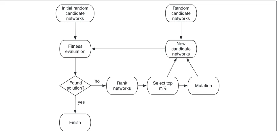 Table 1 Temporal evolution of sate vectors defining the fission yeast cell cycle