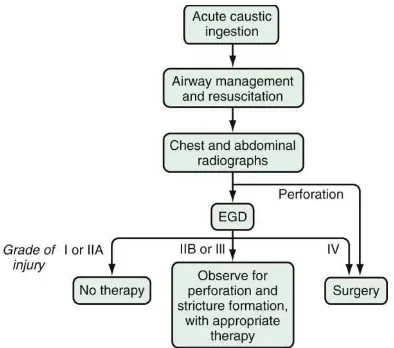 Figure 6 - A step wise approach to a patient with history of corrosive 