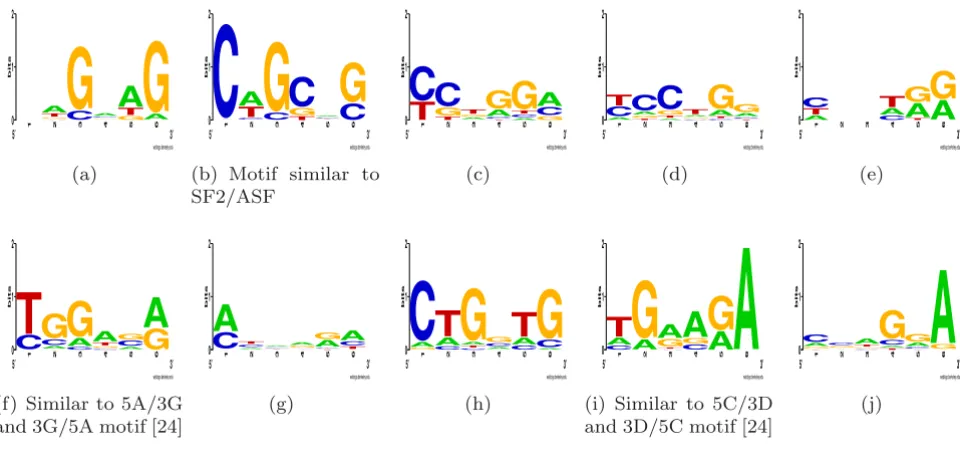 Table 3: T-test probabilities for putative ISE elements found