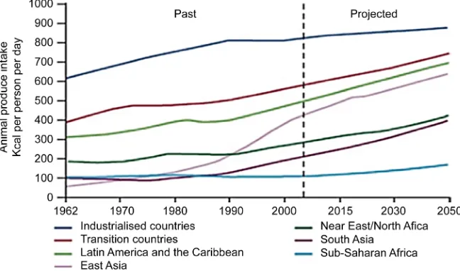 Figure 4. Projected global increase in average animal produce consumption. Source: [32]