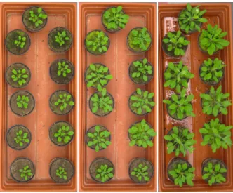 Figure 2.2: Examples of challenging images due to changing conditions during an experiment