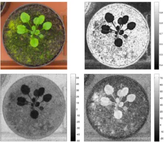 Figure 4.2: Examples of the image features used in our proposed system.