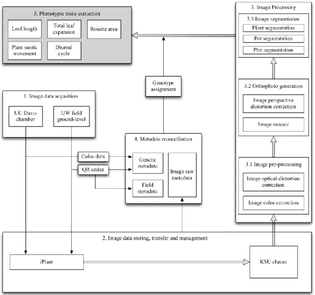 Figure 1.2. Flowchart of the high-throughput phenotyping pipeline. 
