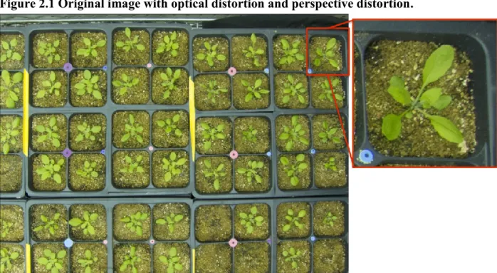 Figure 2.1 Original image with optical distortion and perspective distortion. 