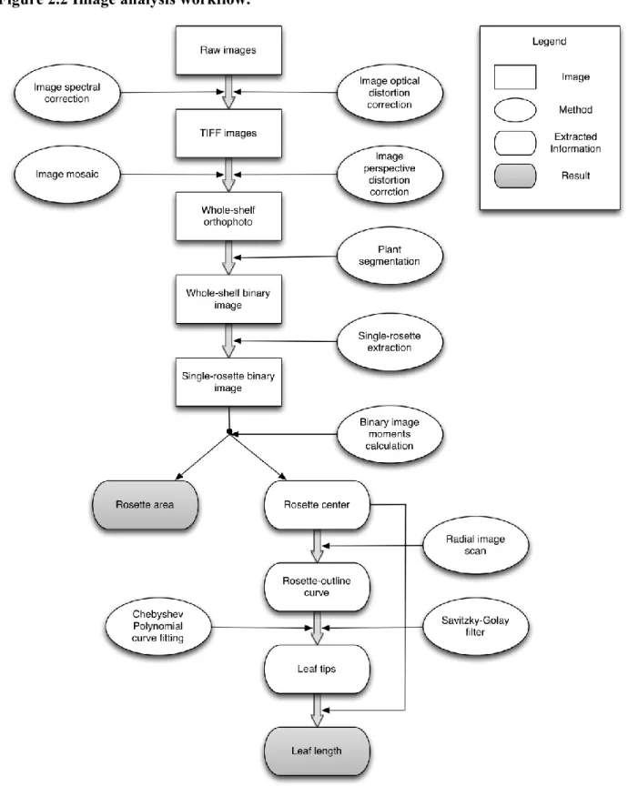 Figure 2.2 Image analysis workflow. 