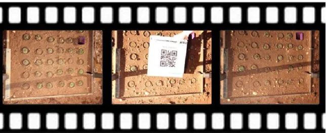 Figure 2.5 Field image data management. 