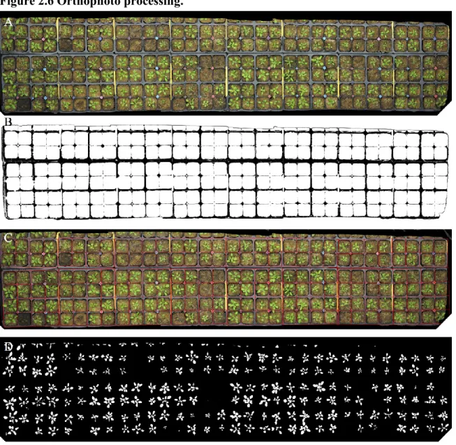 Figure 2.6 Orthophoto processing. 