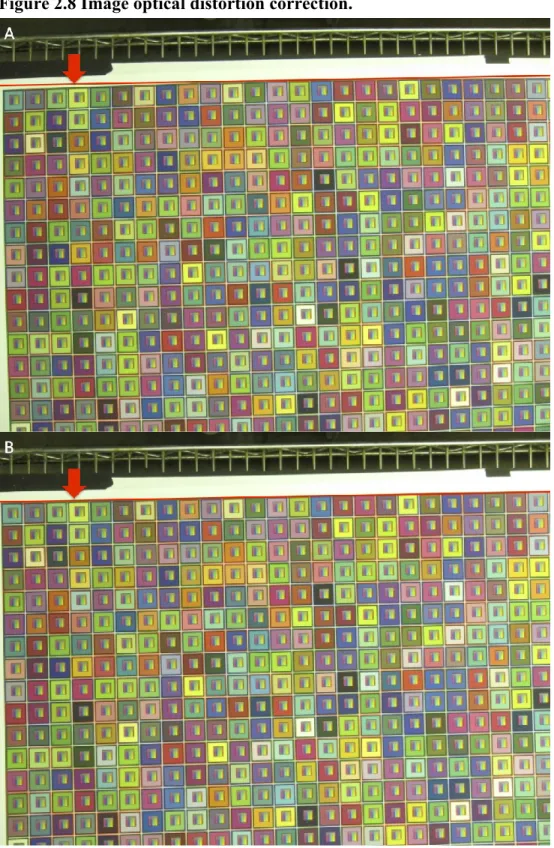 Figure 2.8 Image optical distortion correction. 