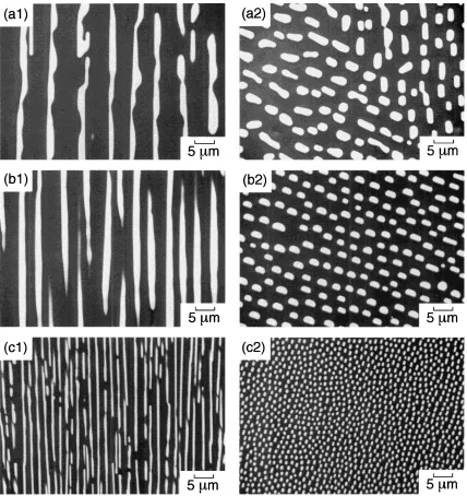 Fig. 2Microstructure of directionally solidiﬁed B4C–TiB2 composites. (a1) growth rate 2.8 × 10−6 ms−1 (Parallel to growth direction).(a2) growth rate 2.8×10−6 ms−1 (Perpendicular to growth direction)