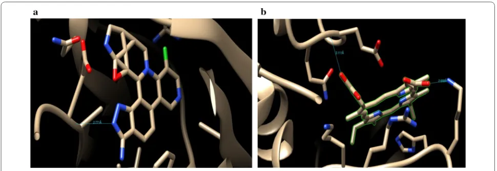 Fig. 3 Binding surface and ligand interaction diagram of native ligand 5XG (a) and COH (b) with their respective protein