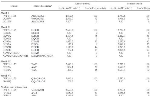 TABLE 2. Summary of ATPase and RNA helicase activities of wild-type and mutant forms of HCV NS3 helicase