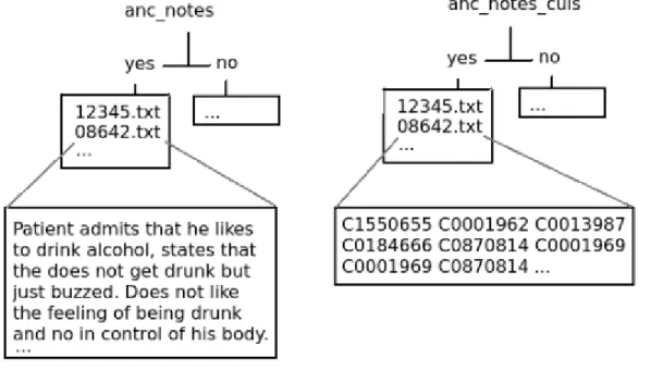 Figure 2. Sample from data views containing raw text (left) and matching CUIs (right).
