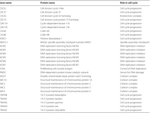 Table 1 Cell cycle proteins identified in the mass spec experiment