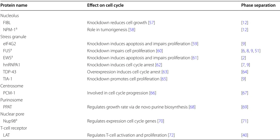 Table 2 Phase separated proteins whose function affects the cell cycle