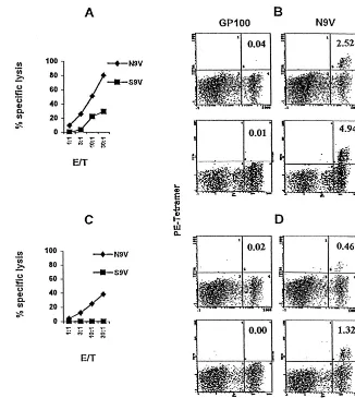 FIG. 5. Stimulation of HCMV-seropositive PBMC with IE1-pp65 allowed expansion of HLA-A2-restricted anti-pp65 CTL