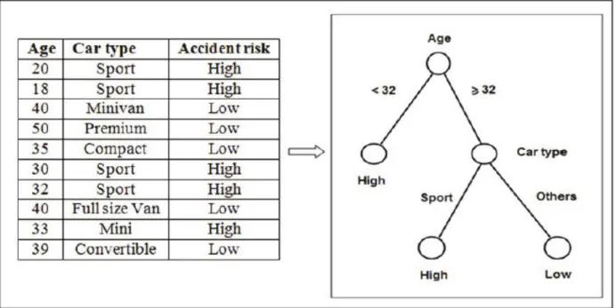 Figure 3. 7: Risk prediction based on the type of car and the driver’s age (Source: 