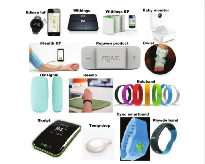 Figure 2. 2:  Internet of Things products and prototypes (Source: Islam, Kwak,  Kabir, Hossain, &amp; Kwak, 2015) 