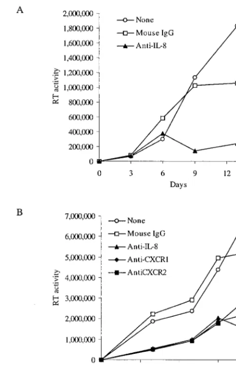 FIG. 4. Depletion of endogenous IL-8 inhibits HIV-1 replication inMDM and PBL. (A) MDM were treated with either mouse IgG1 or an