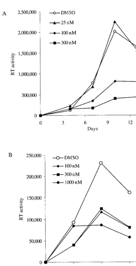 FIG. 5. The small-molecule inhibitor SB225002 inhibits HIV-1 rep-lication in macrophages and T lymphocytes