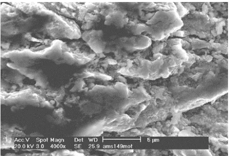 Fig. 4Surface of a NiTi12 mass%Cu wire, 35% cold-worked and straight-ened, oxide surface, as-received from Memry.