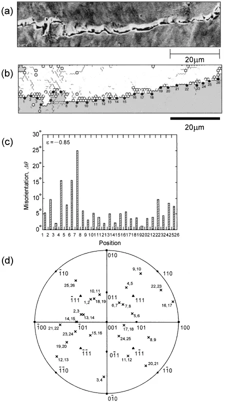 Fig. 6The ﬁgures that are same as those in Fig. 5, for a specimen deformedat high temperature (T = 873 K, ˙ε = 1.0 × 10−3 s−1, ε = −0.85).