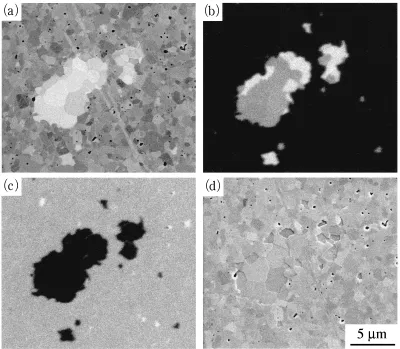 Fig. 3SEM micrographs (backscattered electron images) of the sintered bodies from the powder mixtures of (a) B4C-5W(WC mole fraction = 0) and (b) B4C-5W-80WC (WC mole fraction = 0.930).