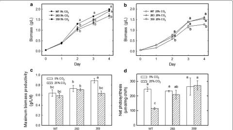 Fig. 1 Effects of different  COculture of each strain aerated with different  CO2 concentrations on the growth and photosynthesis rates of the wild type and mutants 283 and 359 of Chlorella vulgaris ESP‑31