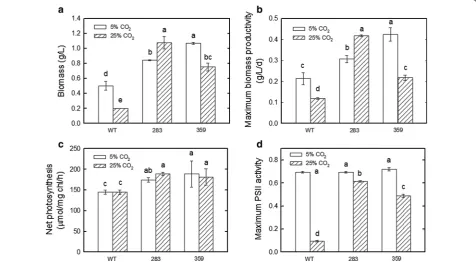 Fig. 2 Effects of high temperature and different  COc40 °C under 12 h light–dark (light intensity 150 μmol m2 concentrations on the growth and photosynthetic rates of the wild type and mutants 283 and 359 of Chlorella vulgaris ESP‑31