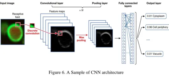 Figure 6. A Sample of CNN architecture 