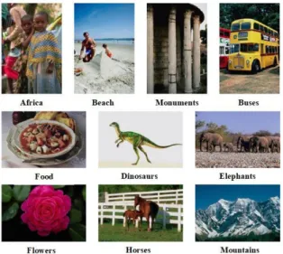 Figure 8. An example of image from each of the 10 classes of the WANG database  as well as their class labels 