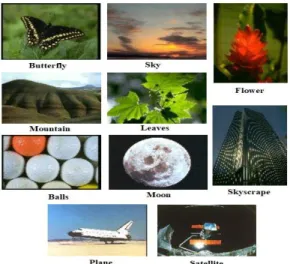 Figure 10. An example image from each of the 10 classes of the caltech 101 database  together with their class labels 