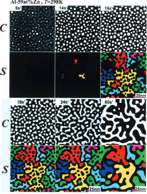 Fig. 5Effect of surrounding particles on the morphological changes of par-ticle. The top line (A) shows shape change in the case of isolating rodparticle, while the bottom line (B) shows shape change when the rod iselastically affected from the surrounding particles.
