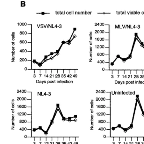FIG. 2. Expression of HIV-1 antigens, viability, and growth kineticsin fetal astrocytes infected with native and pseudotyped HIV-1
